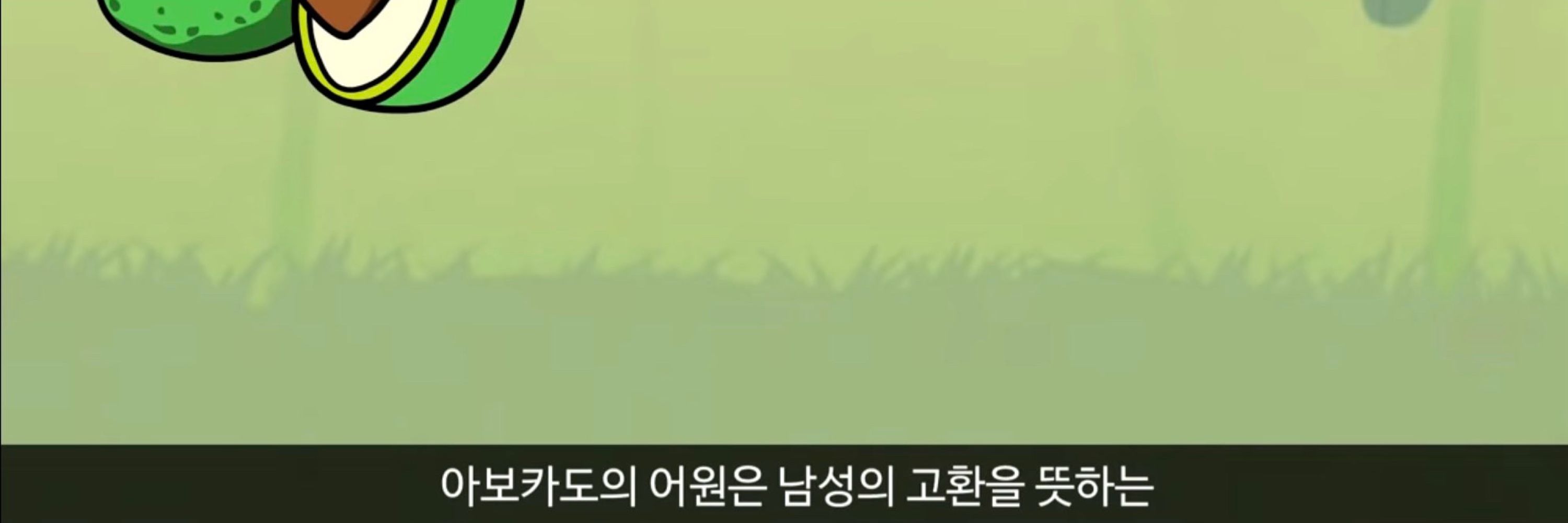 아보캣