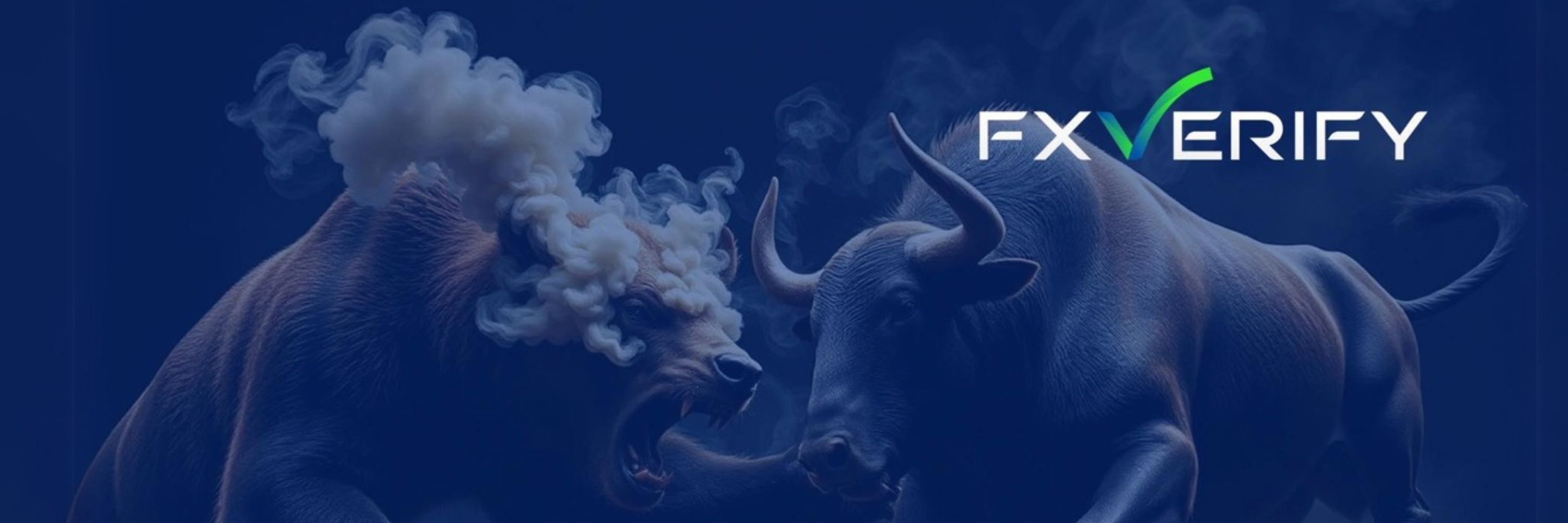 FxVerify