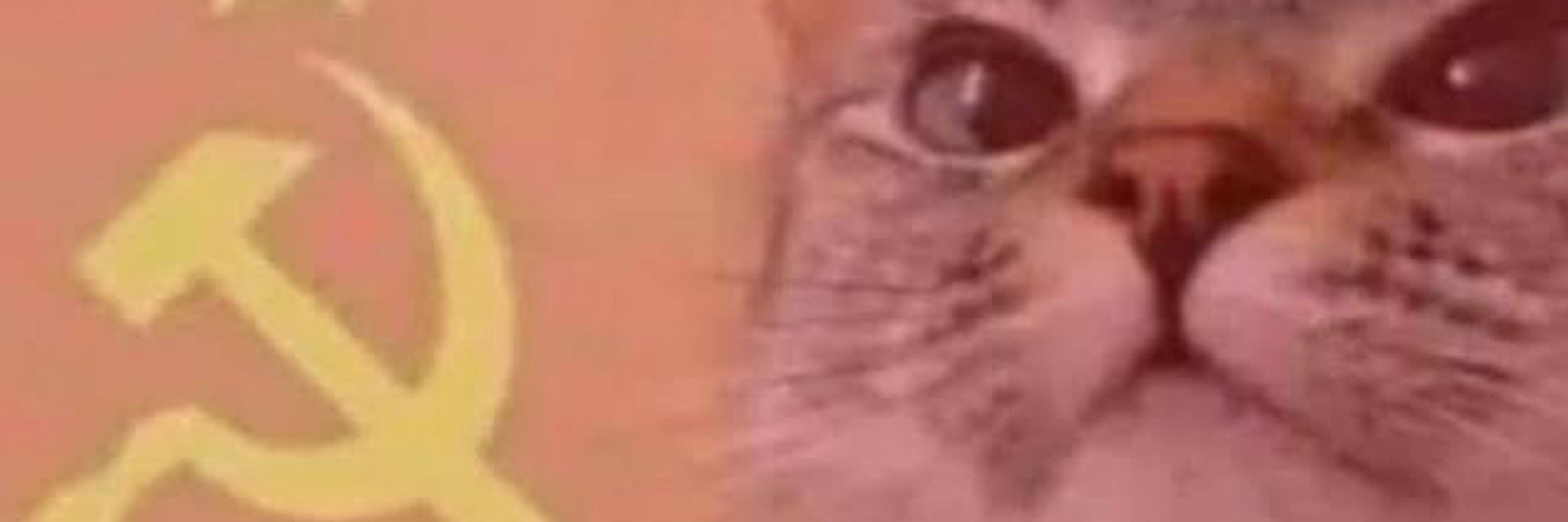 Siddiqi Saab