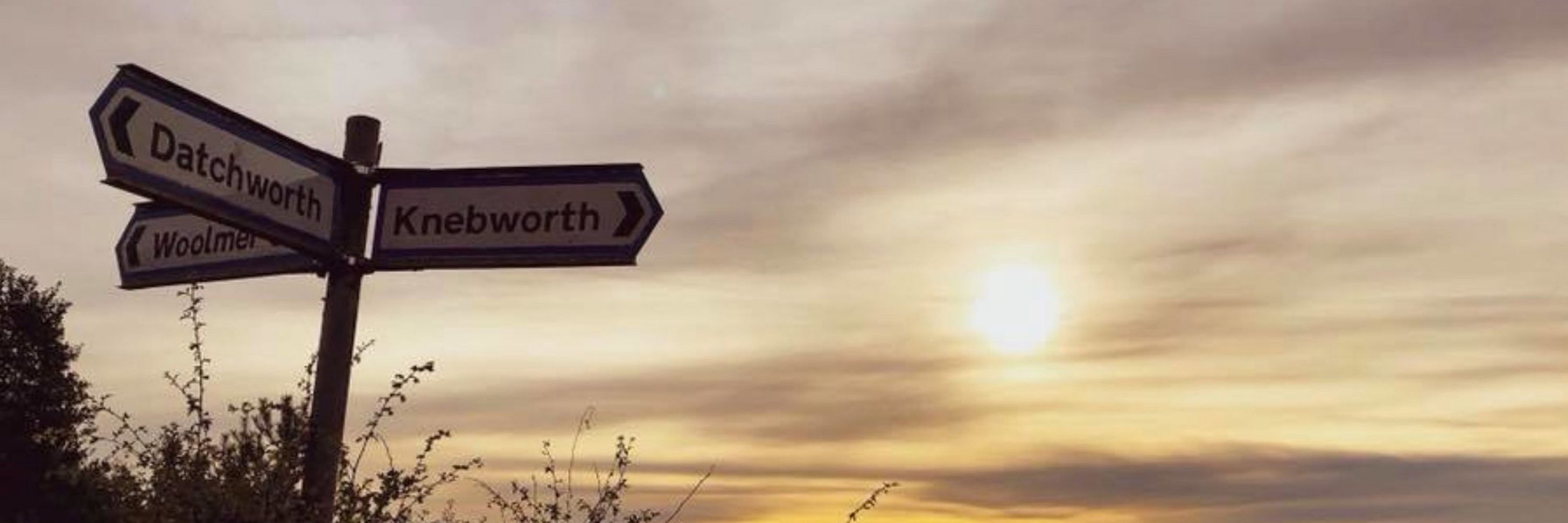 Knebworth Talk