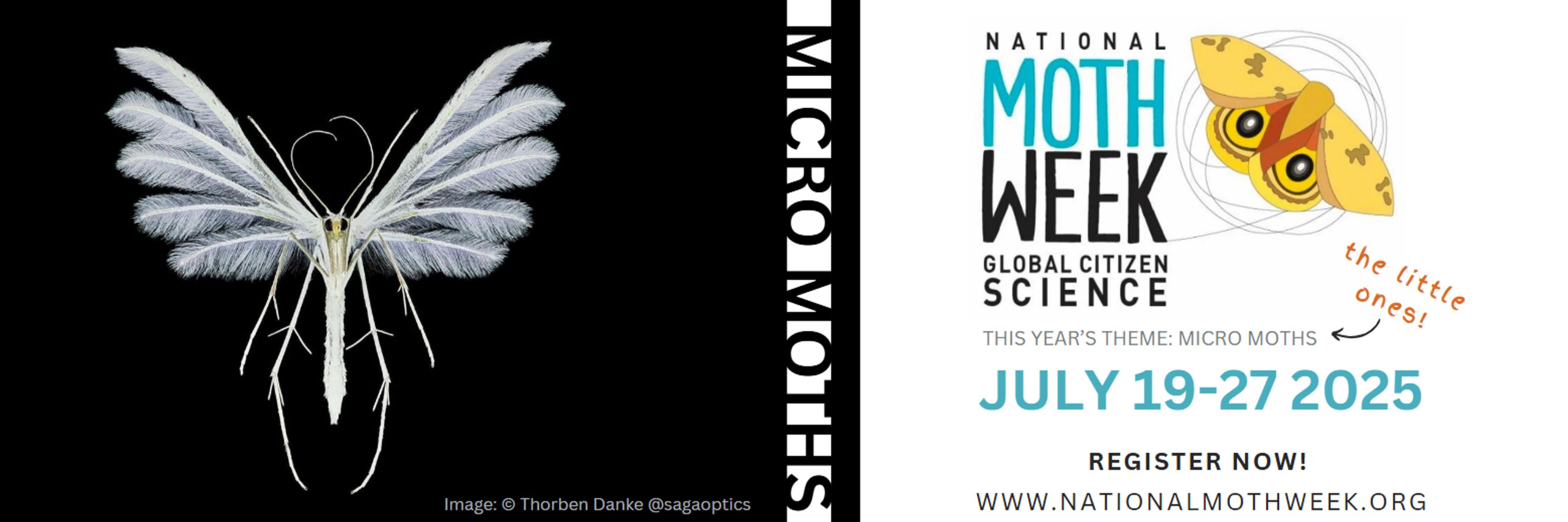 National Moth Week