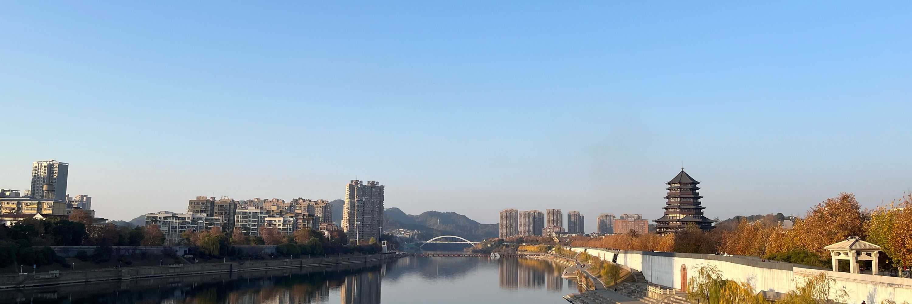 刘淼