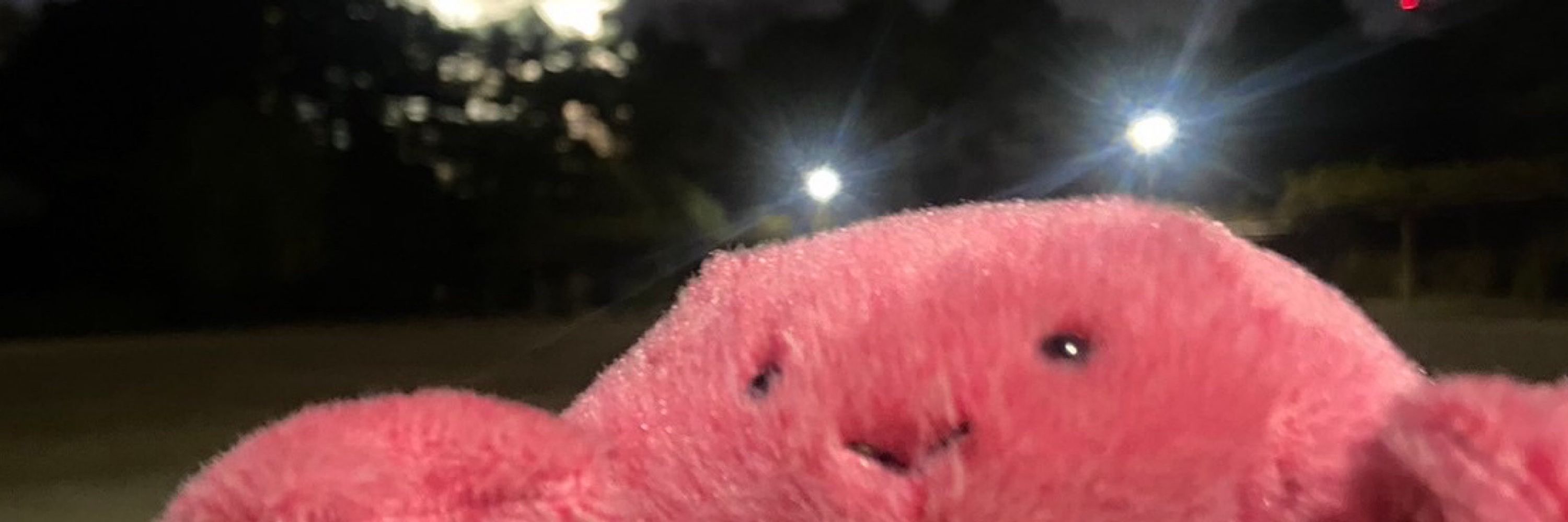の🍓
