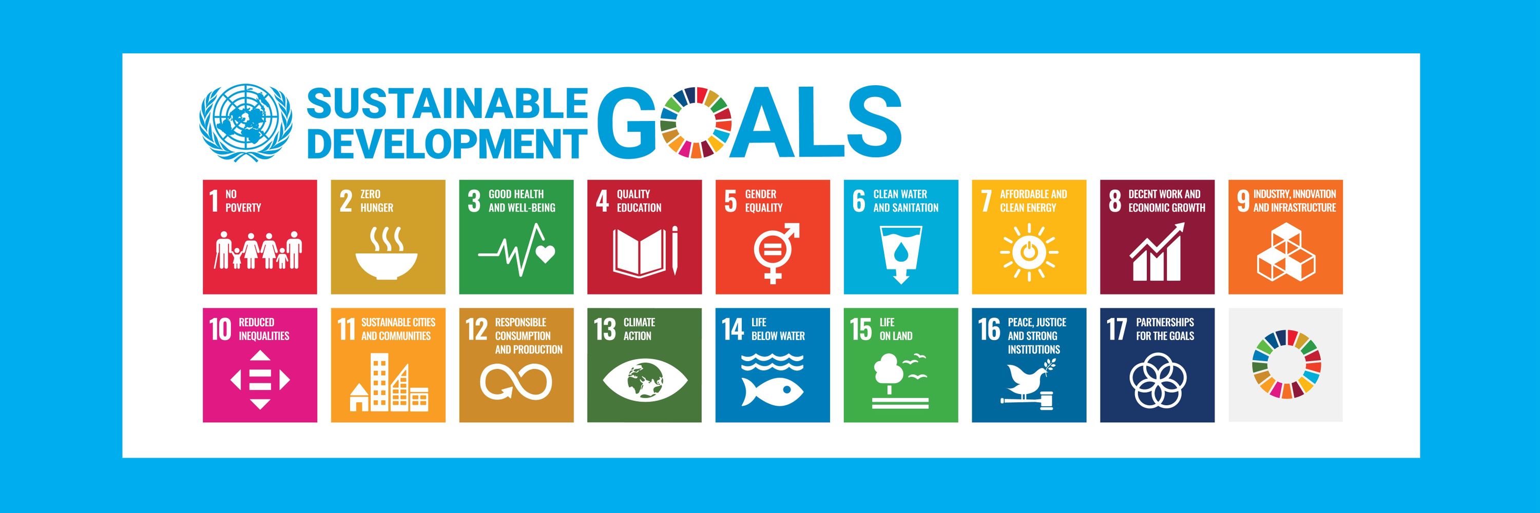 UNDP Global Policy Centre for Governance