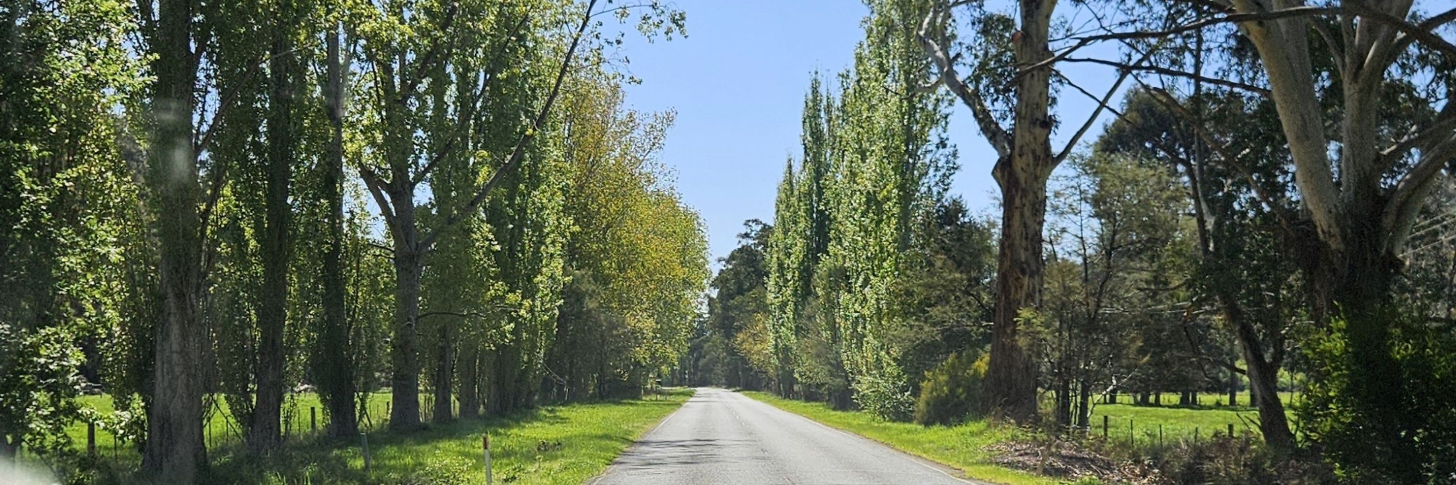 Elpieso