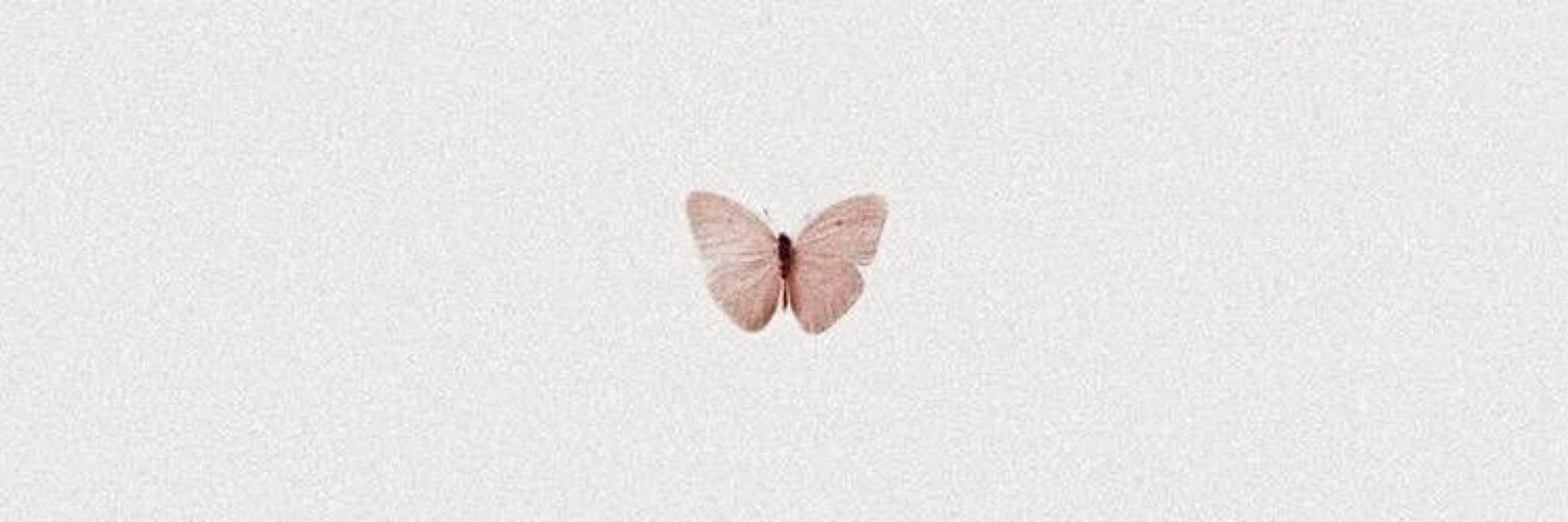 Louise Moschen