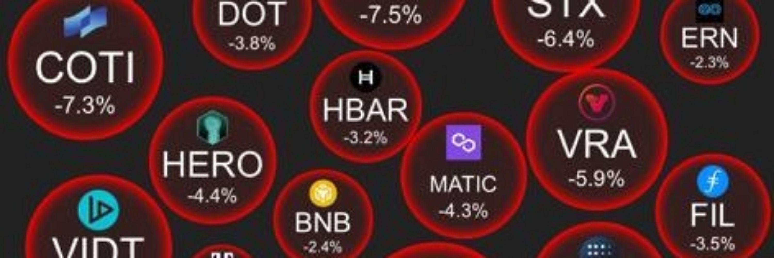 Crypto Duck