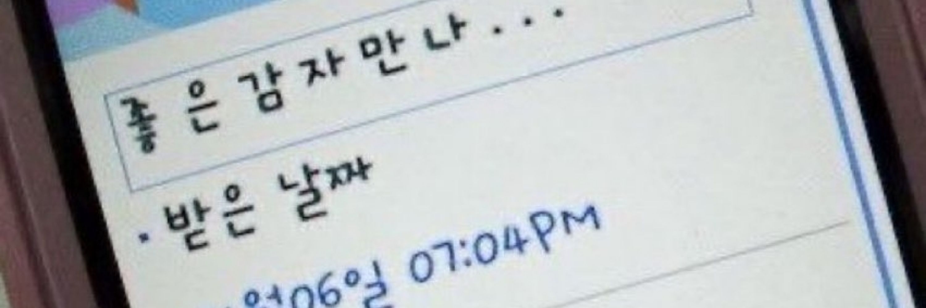 대저짭짤이도마도