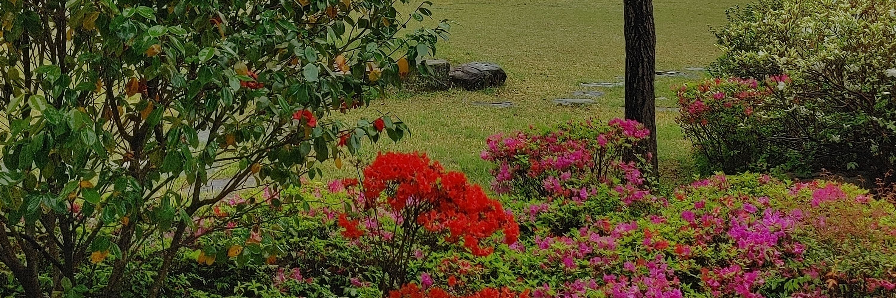 황개