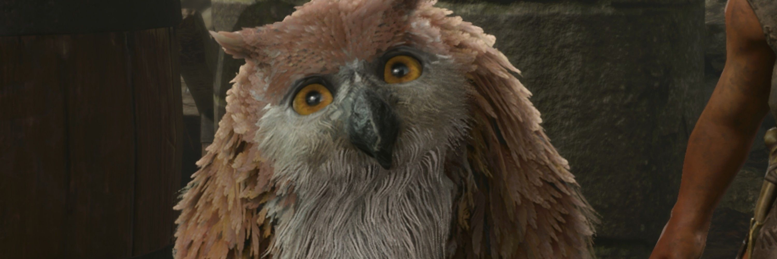 Qu1etwolf