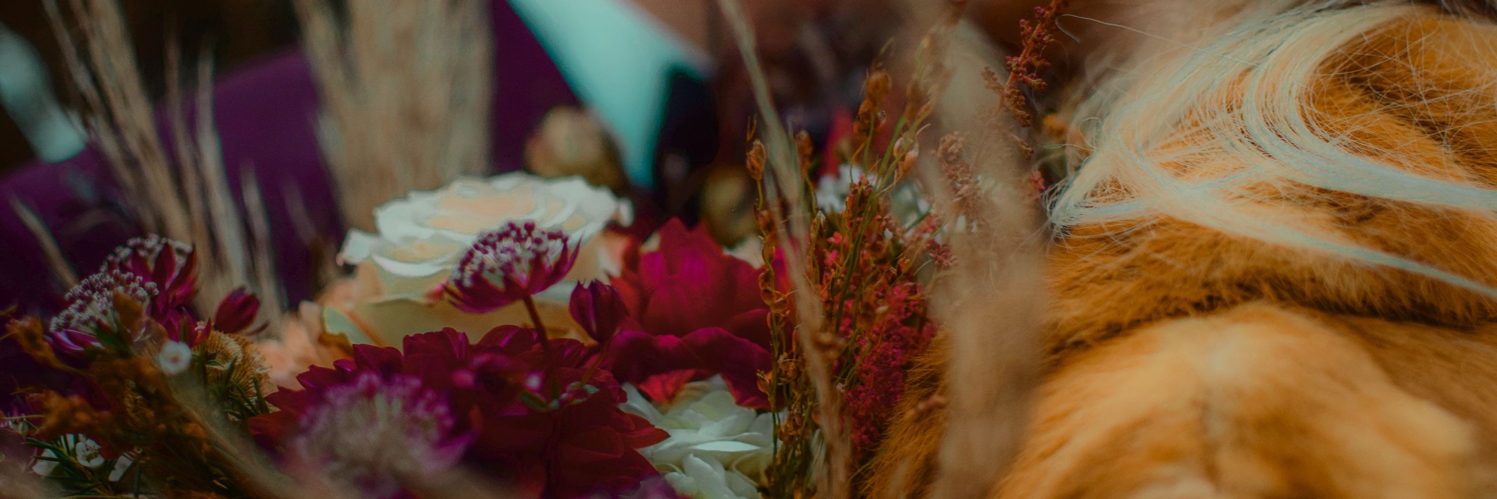 Kati Doty Photography | MN Portrait Photographer