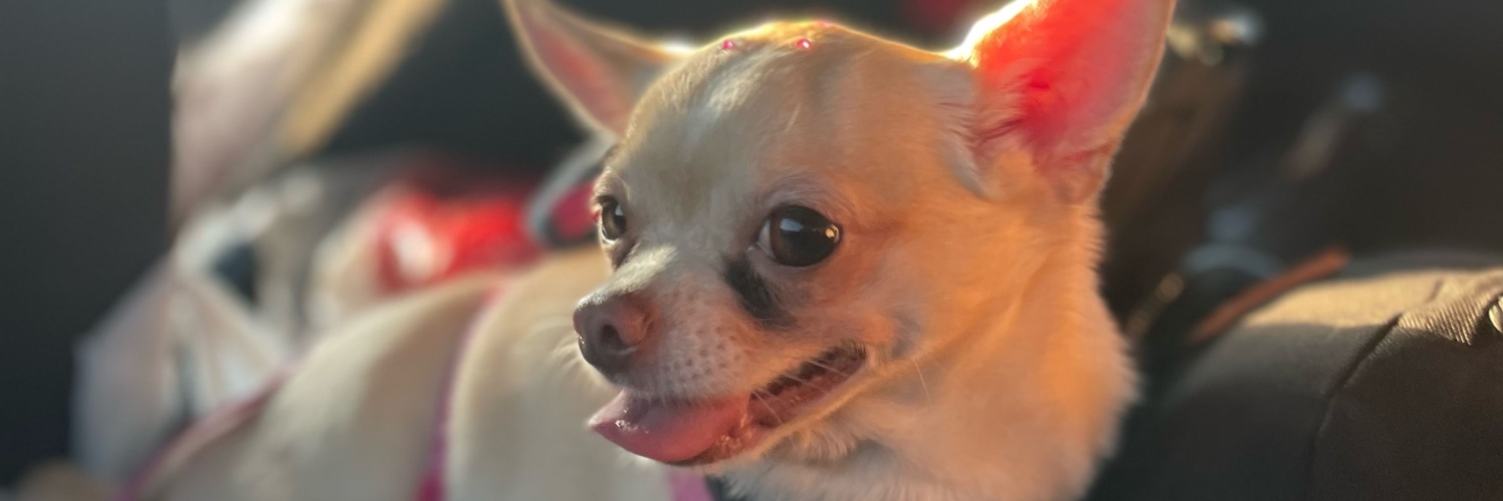l¡za🌪️