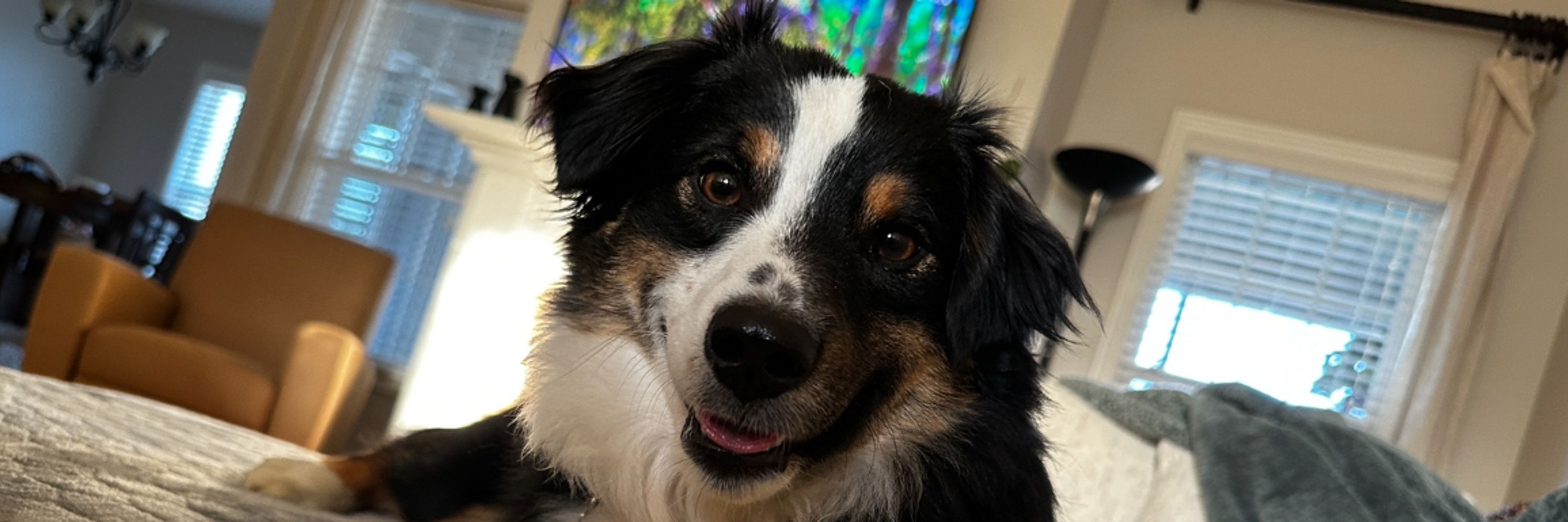 Tucker