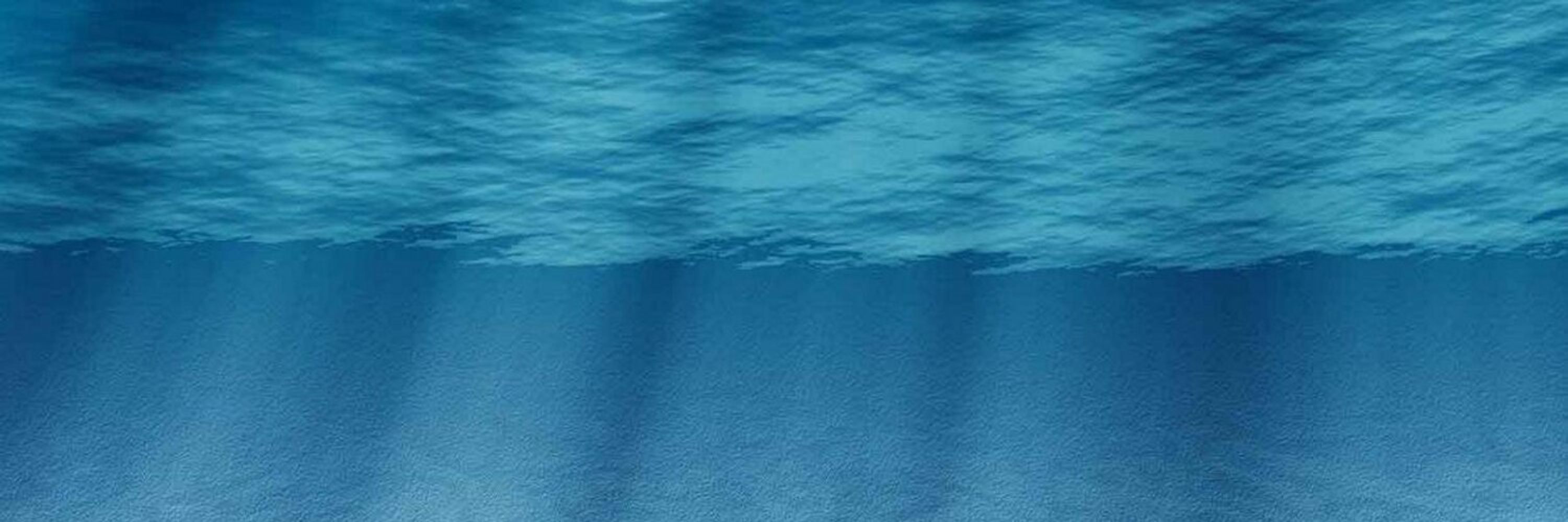 海月仁