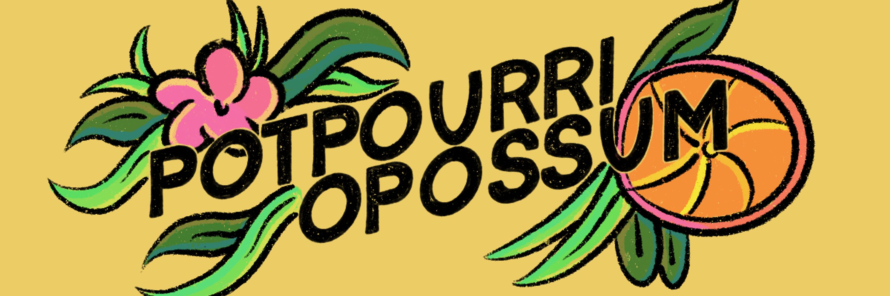 Potpourri-opossum