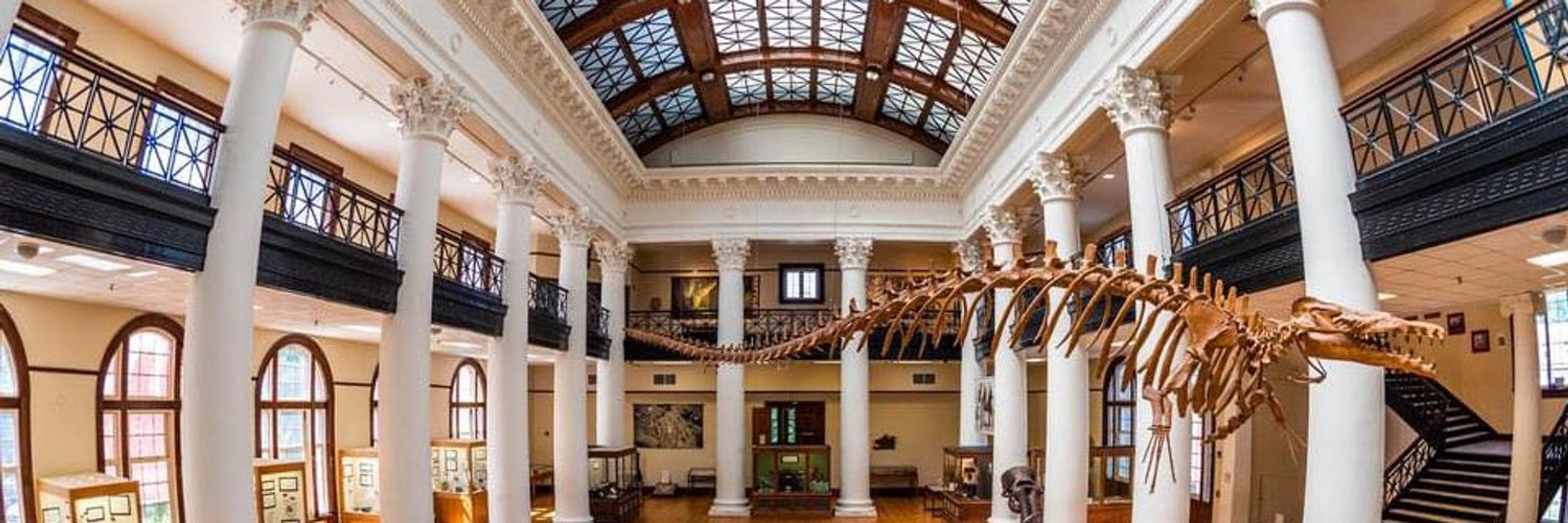Alabama Museum of Natural History 