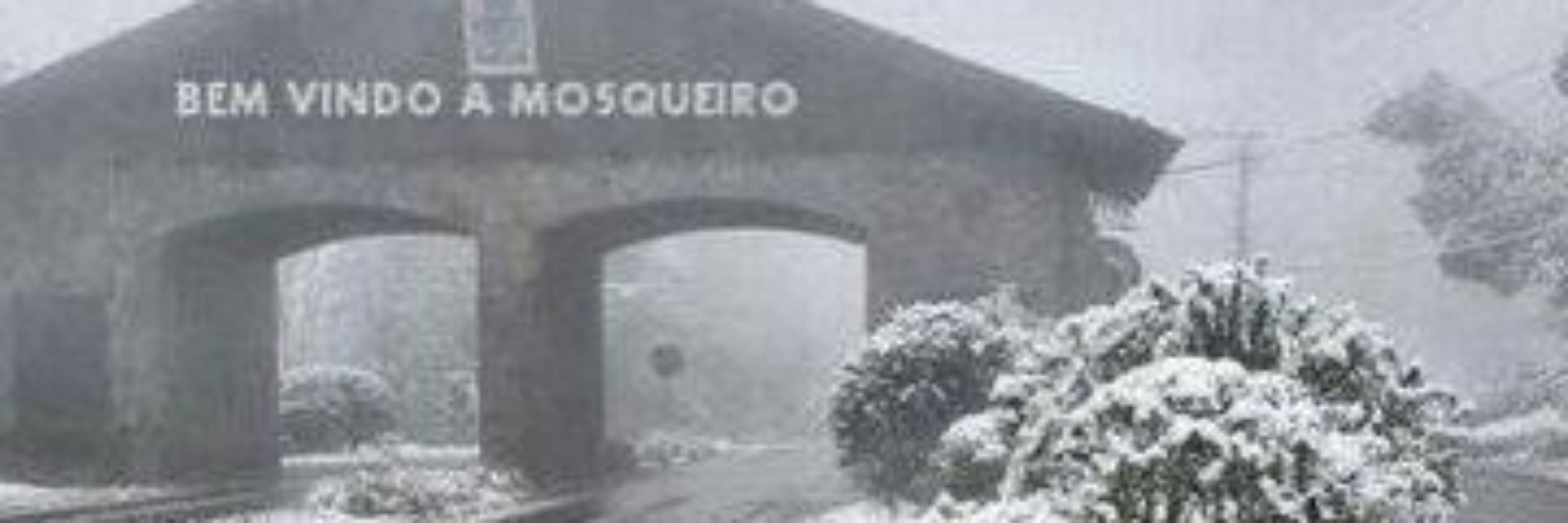 Pedro Soares 
