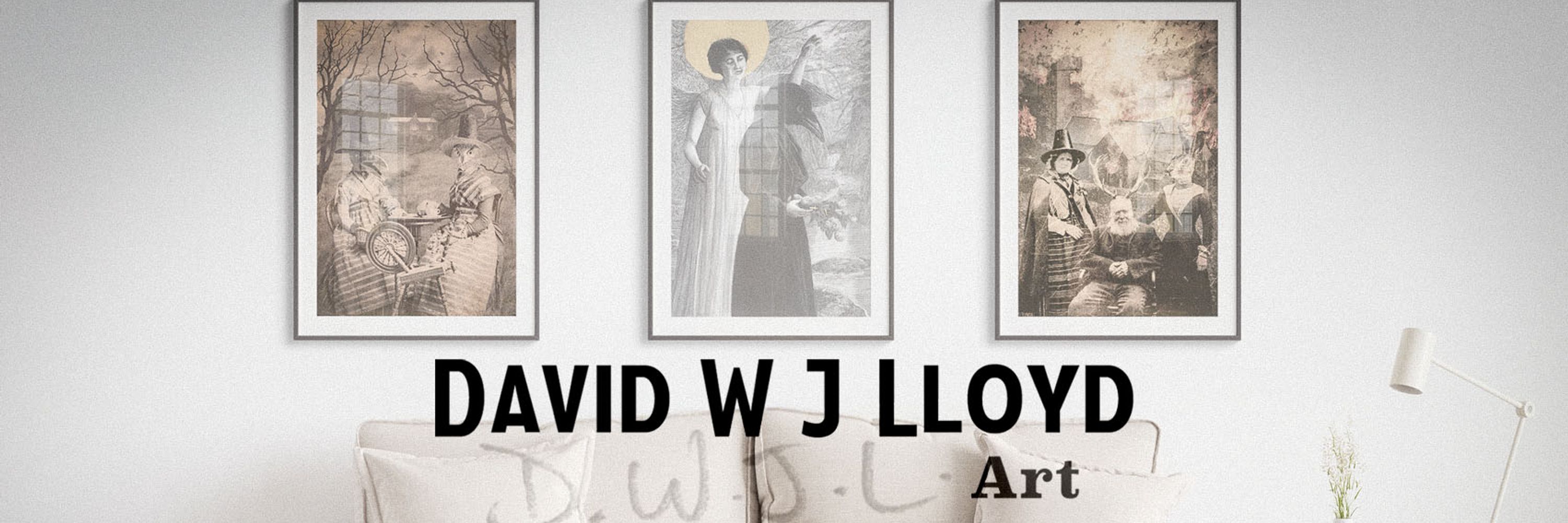 David W J Lloyd
