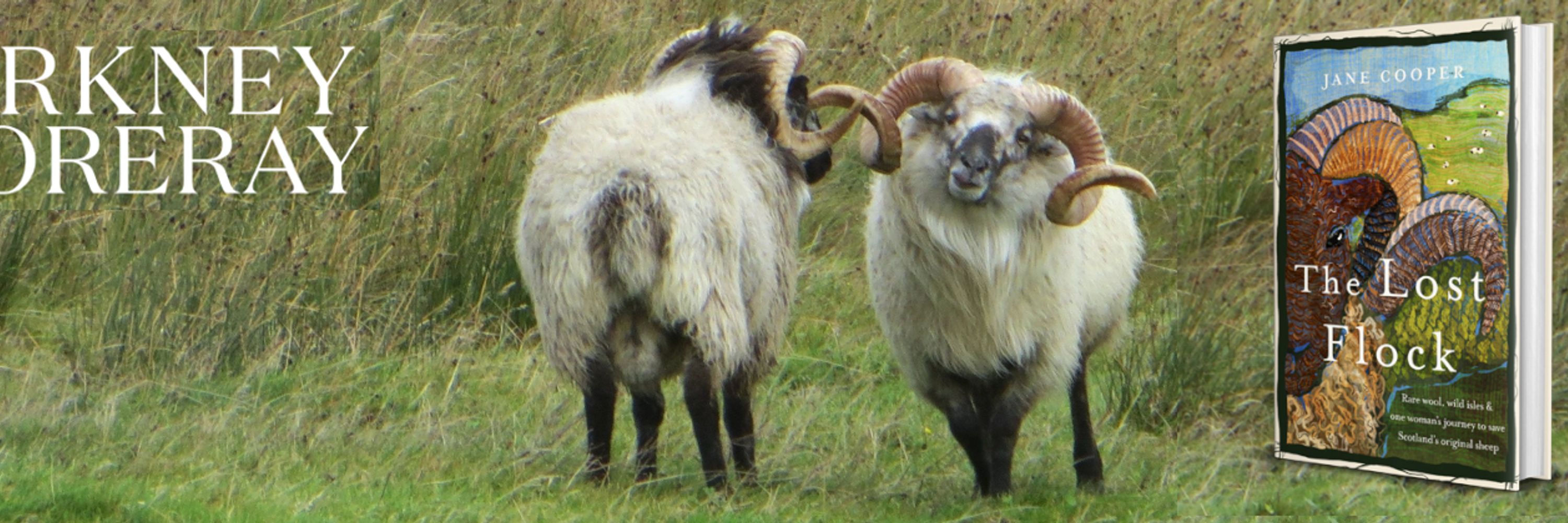 OrkneyBoreray