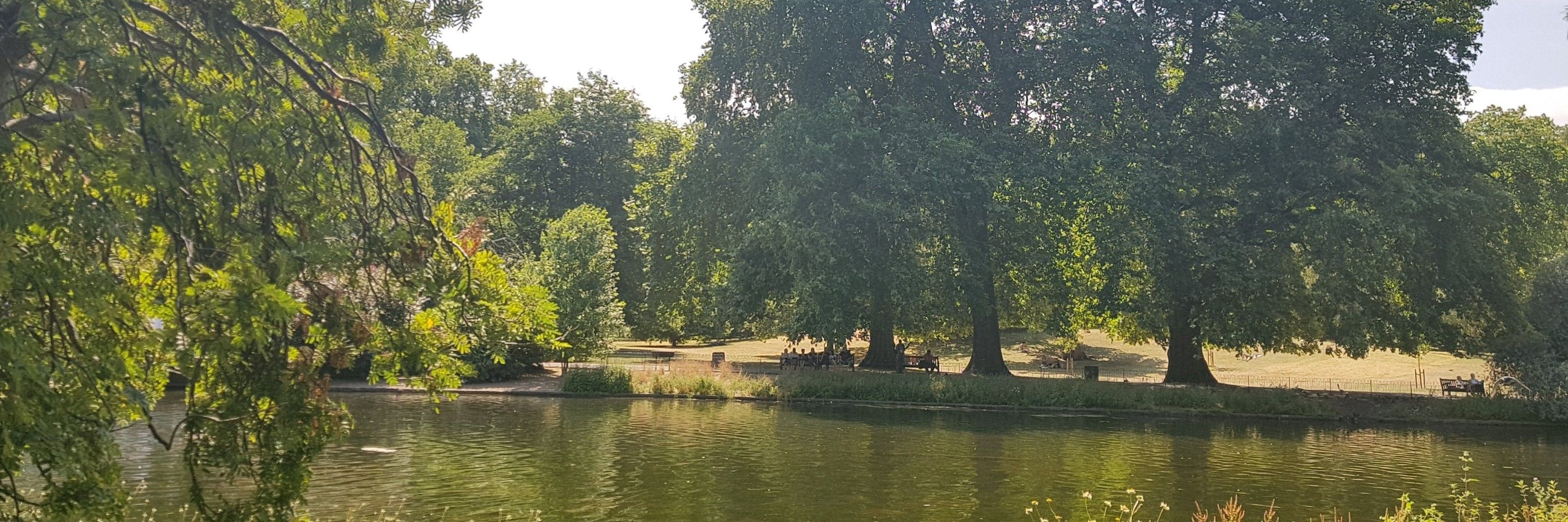 The Shymaa Ali