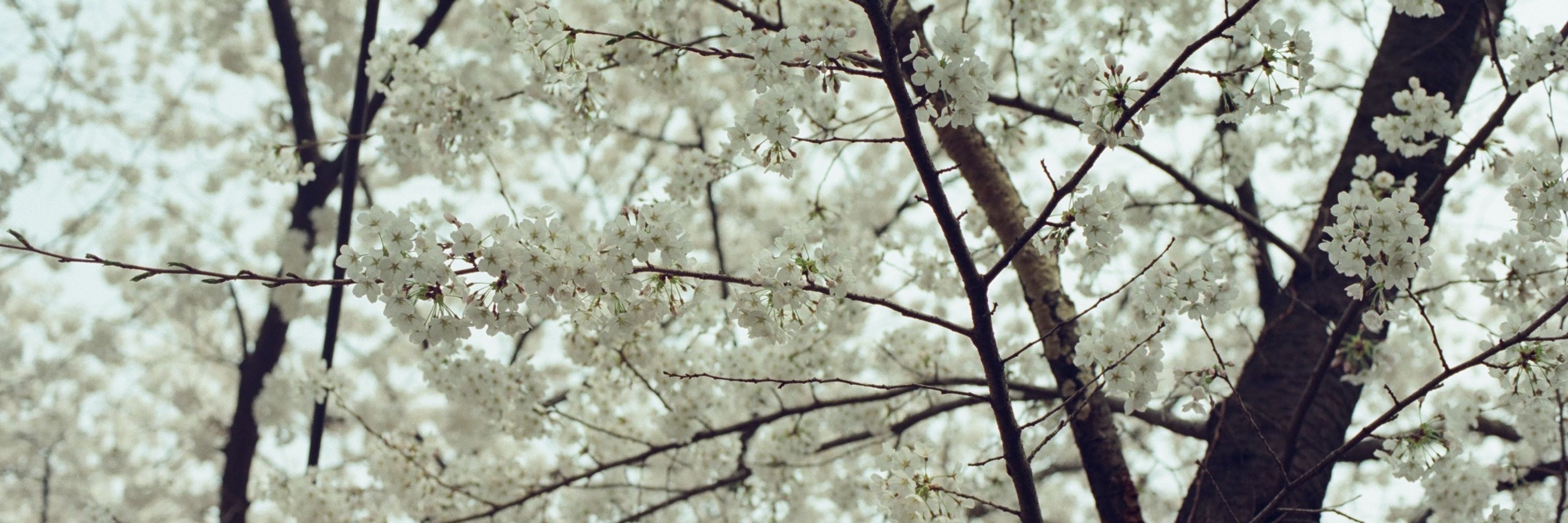 여미새공주