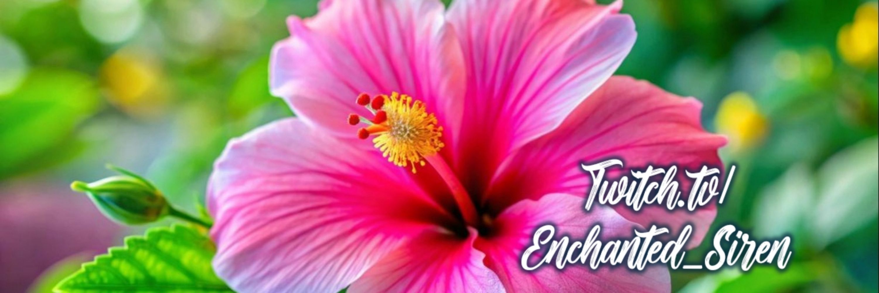 Enchanted_Siren 🌺 Emote Artist
