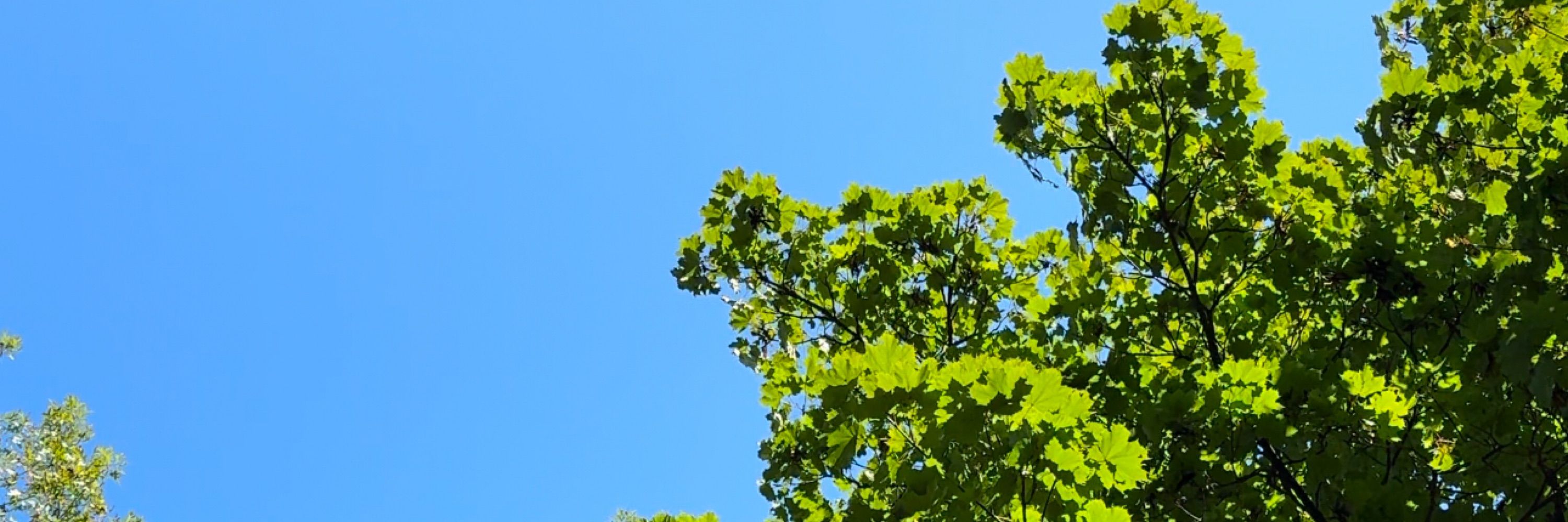 ELM Communications
