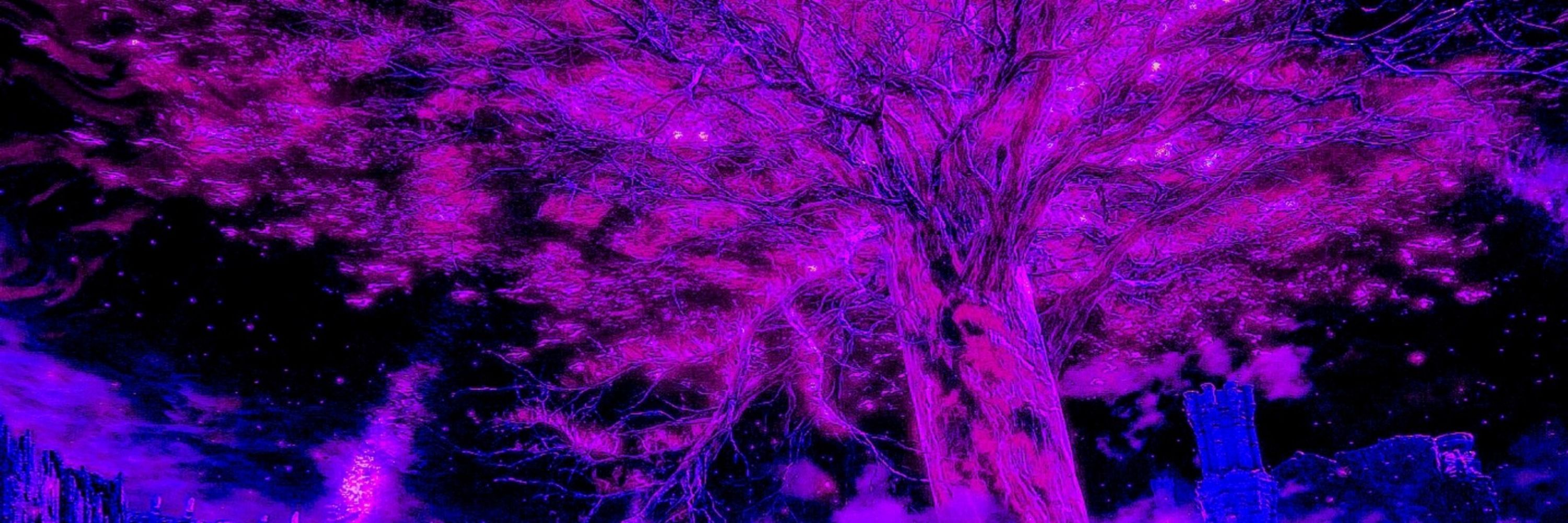 𝑯𝑶𝑳𝑳𝑶𝑾𝑬𝑫 𝑺𝑪𝑹𝑨𝑷
