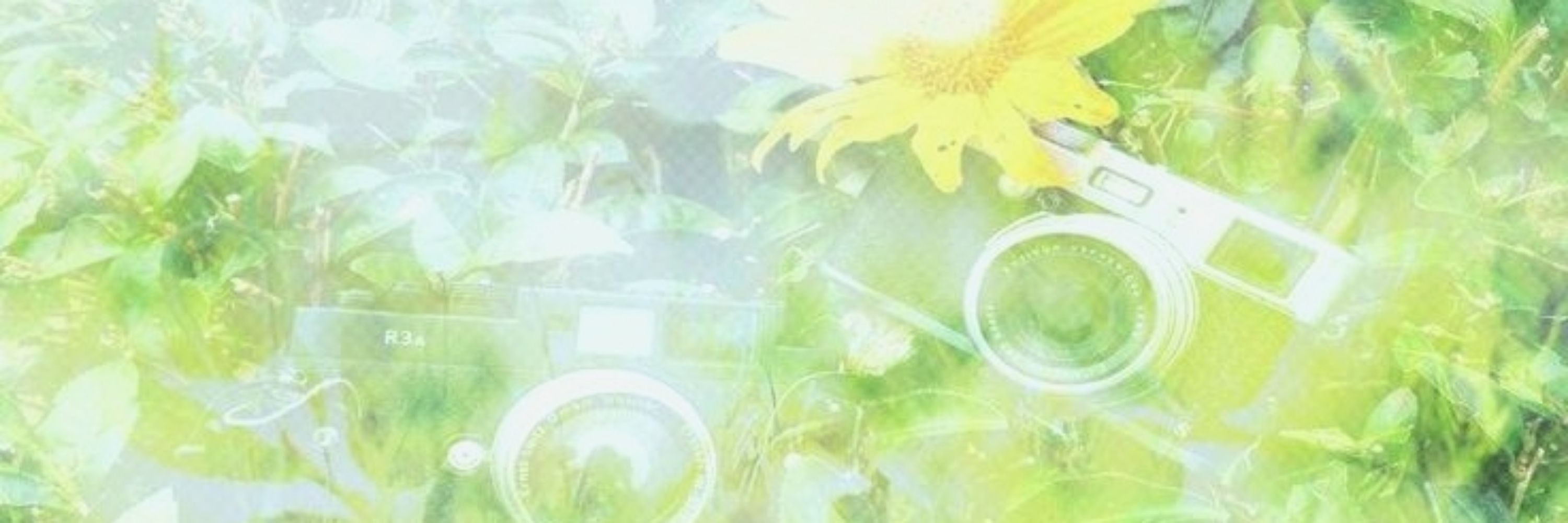 ⋆˙☘️ 𝐍𝐚𝐰 ˑ ִֶ 𓂃⊹