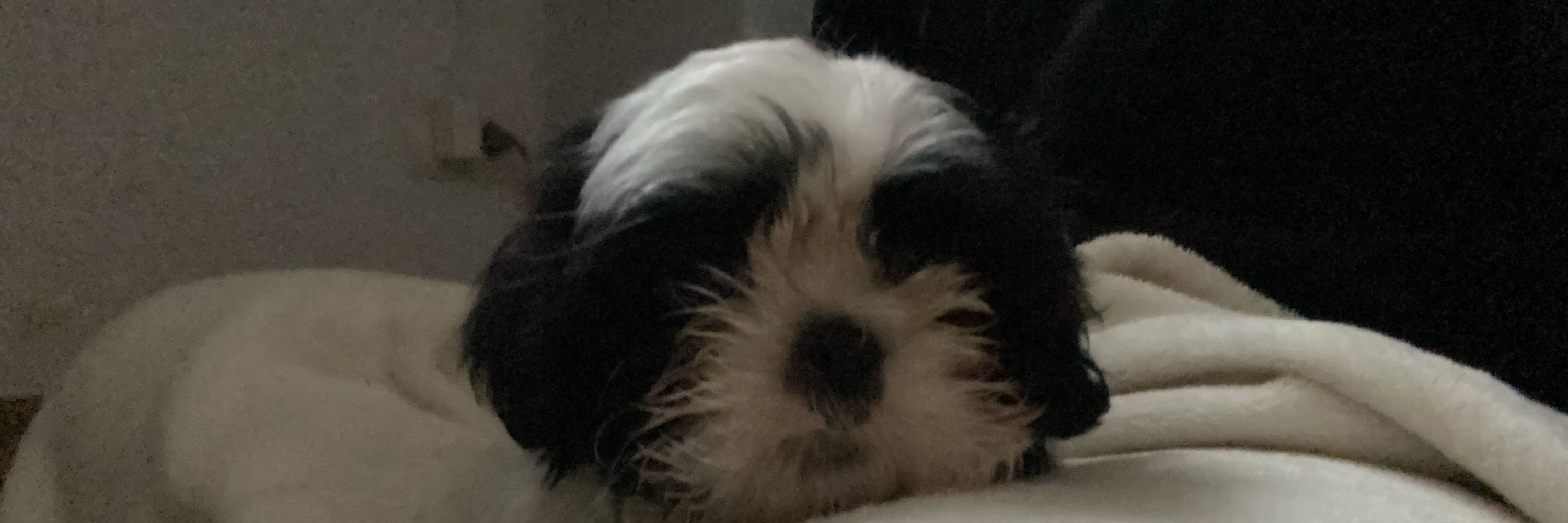 clara linda 