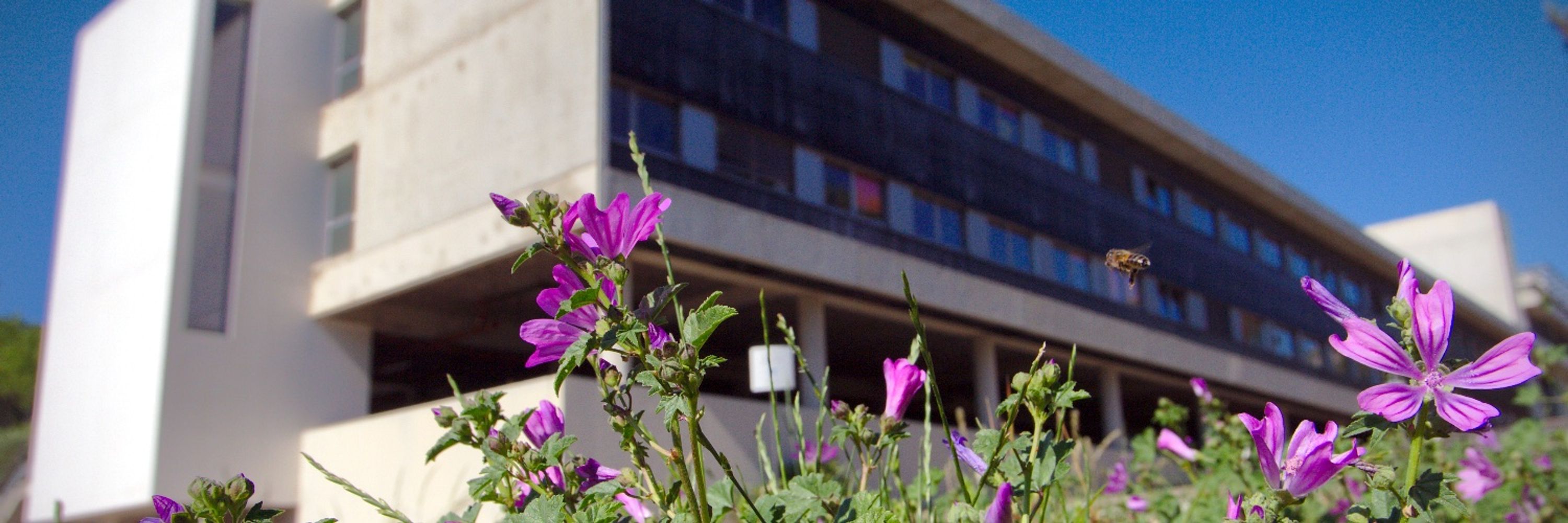Centre d'Immunologie de Marseille Luminy