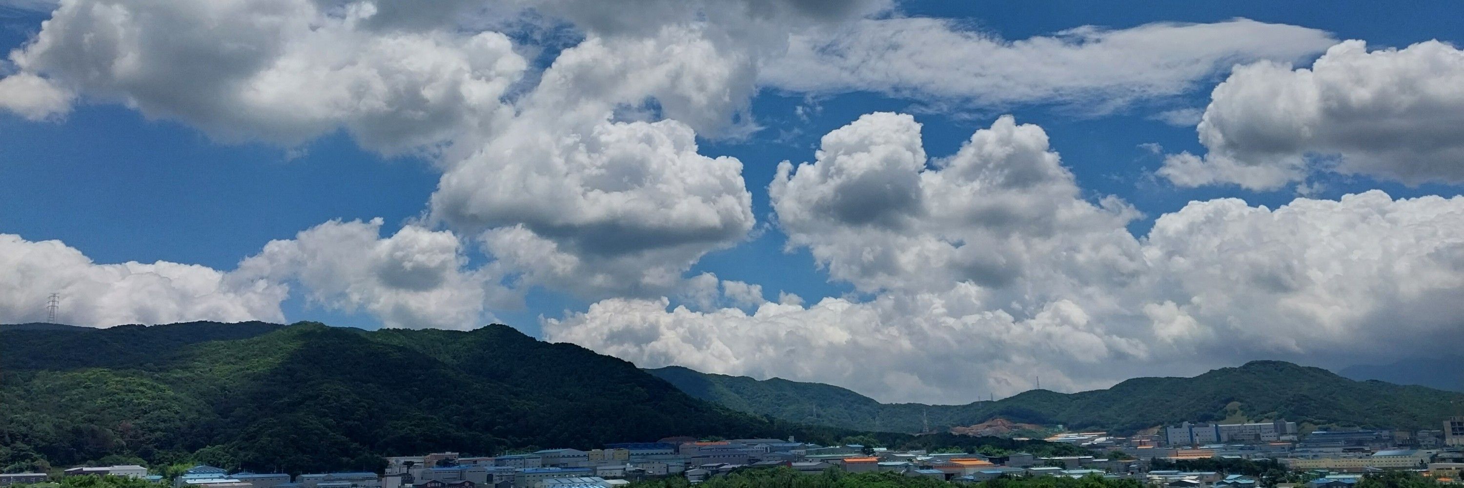매장