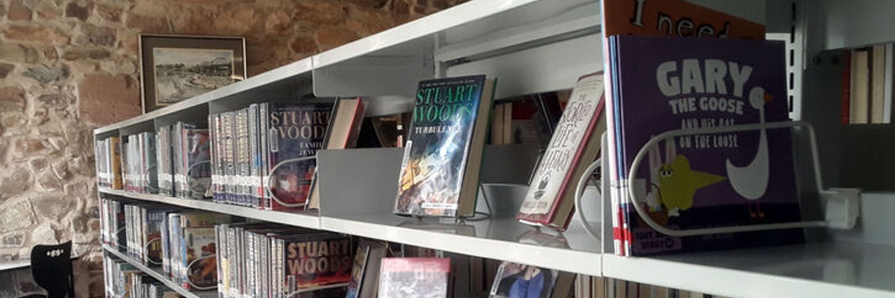 Save Llano Libraries