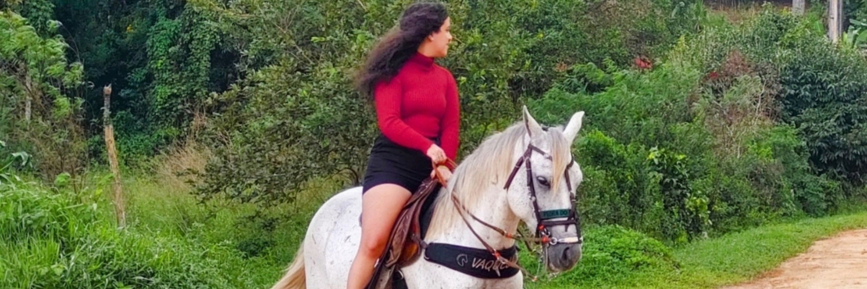 Mary Fê