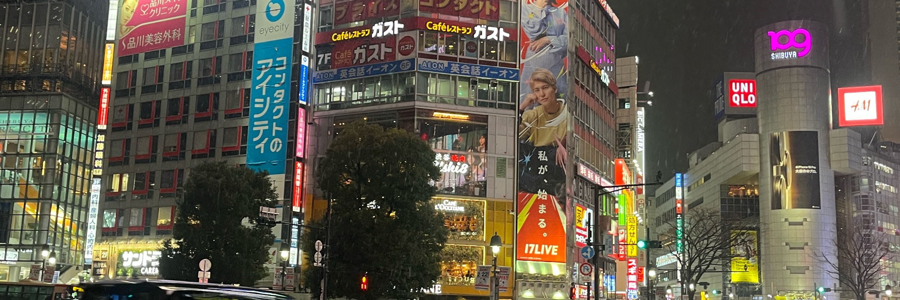 有村 莉緒|RIO (1-F)