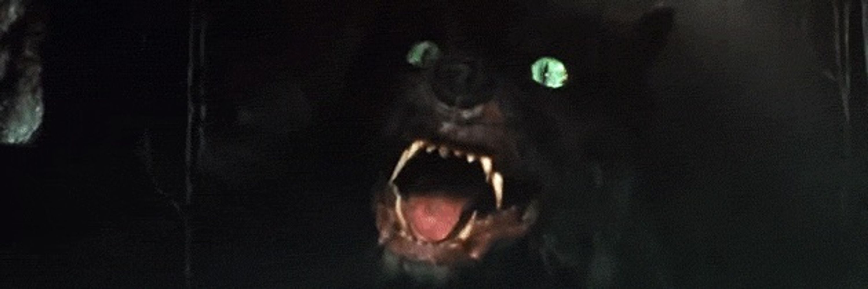 BlackMoonWolf