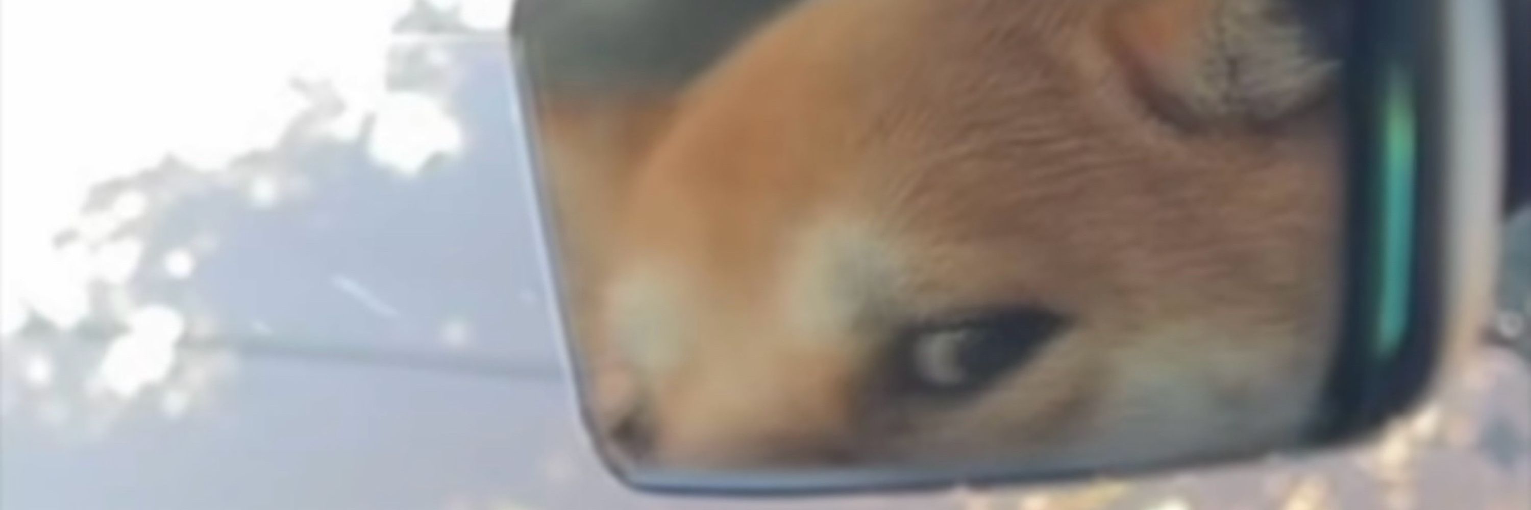 Solar