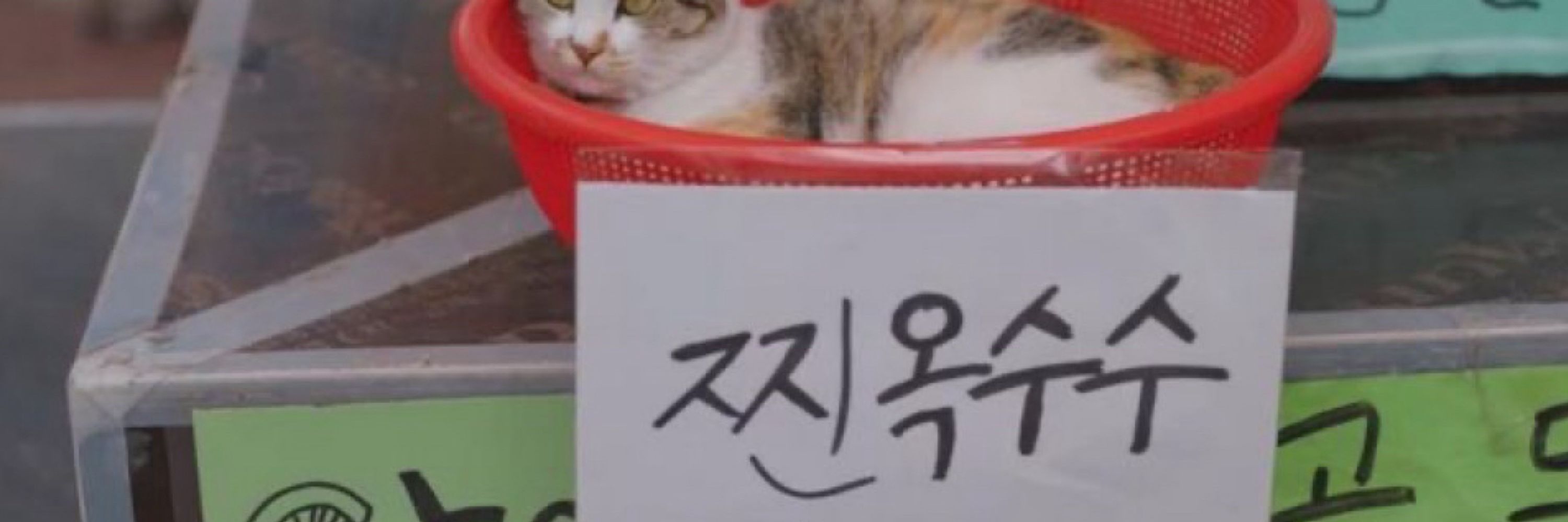 ㅇ오ㅓㅇ