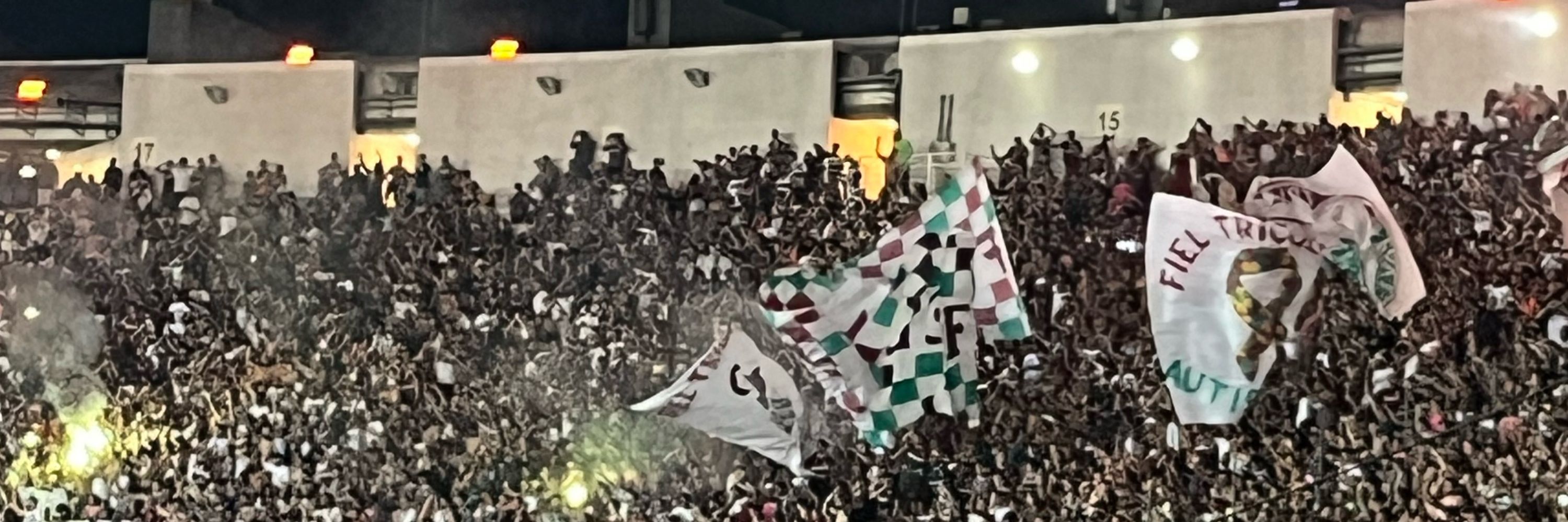 Nelsinho
