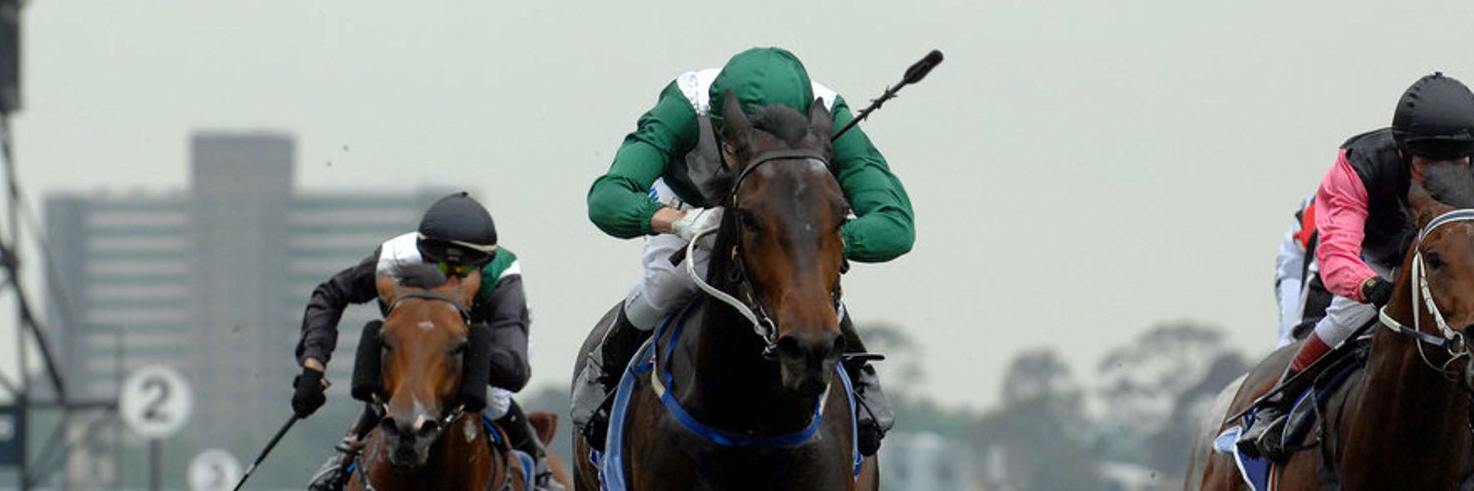 Racing Oracle