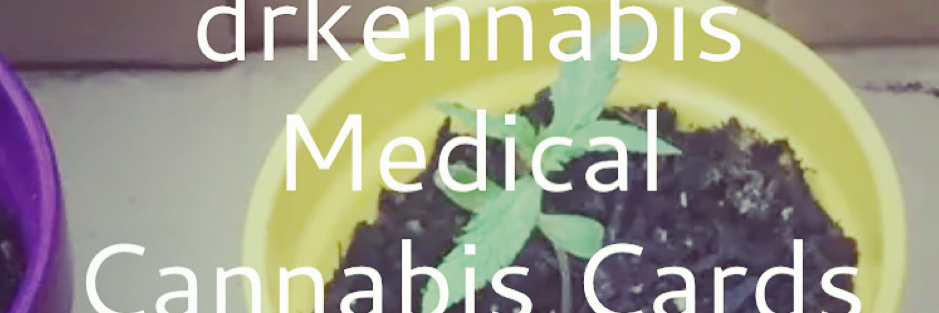 drkennabis