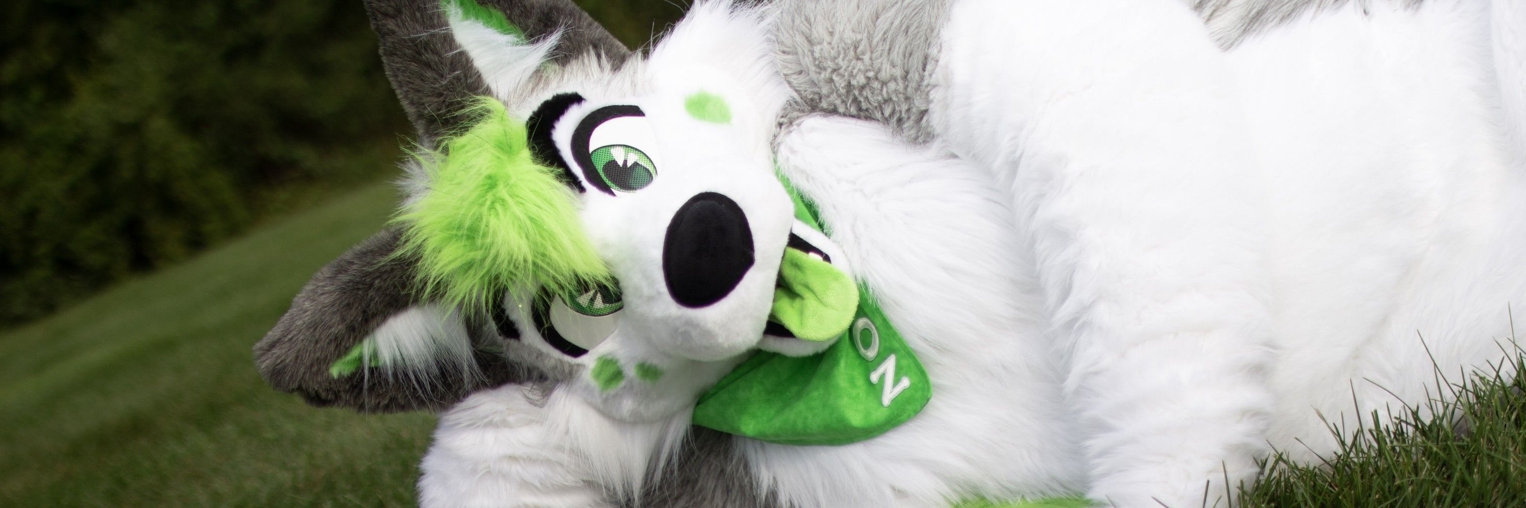 Nox Husky