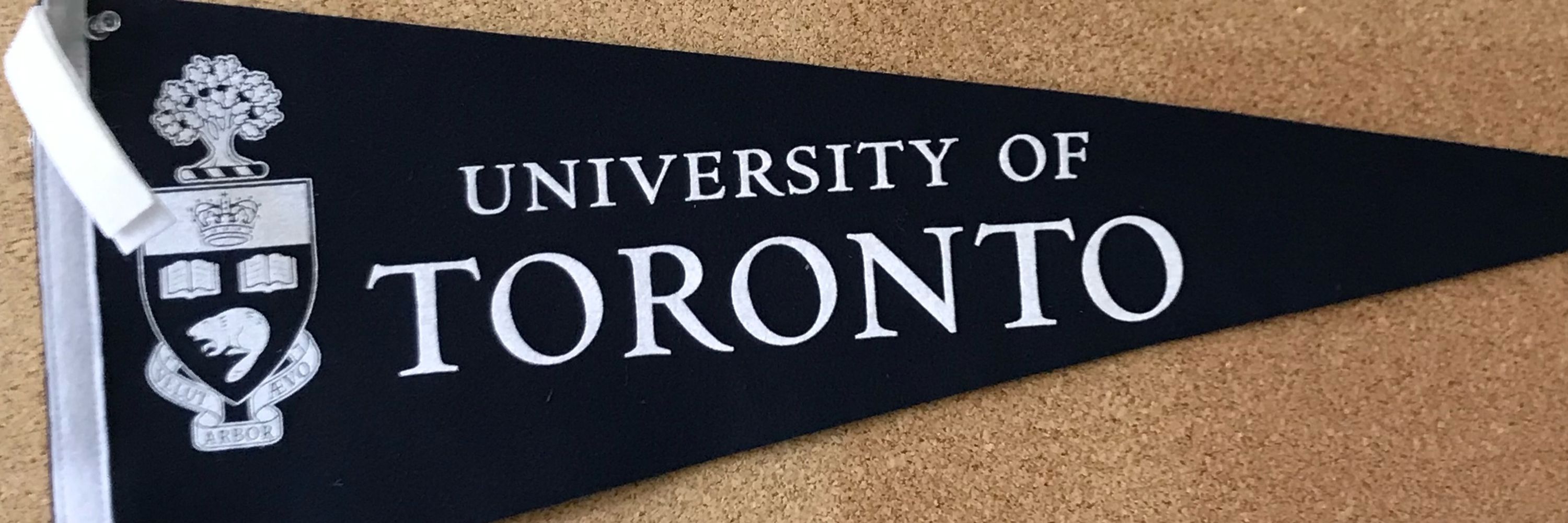 Anne W. Hunt PhD OT Reg. (Ont.)
