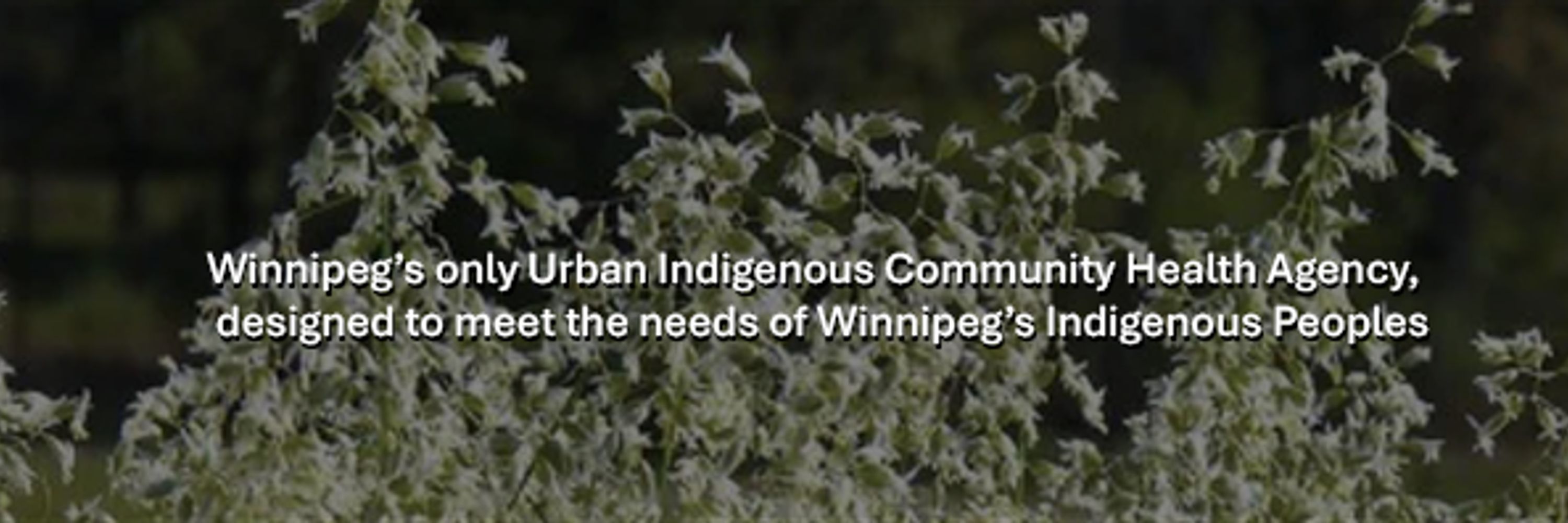 Aboriginal Health & Wellness Centre