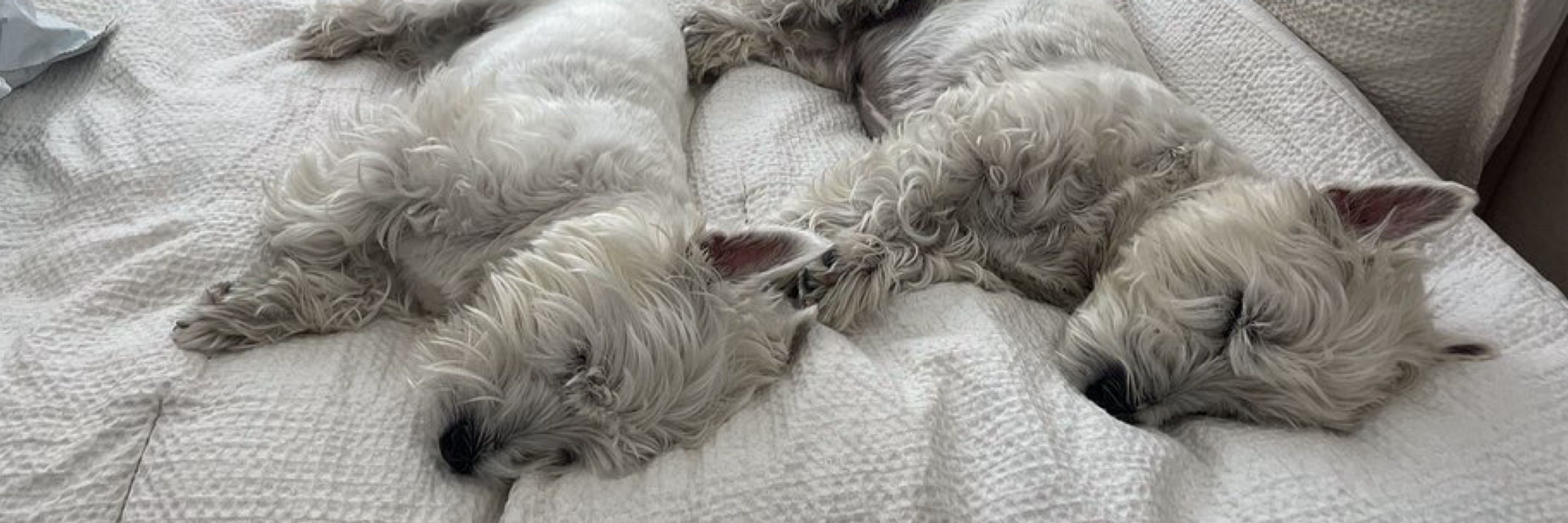 Duncan & Winnie