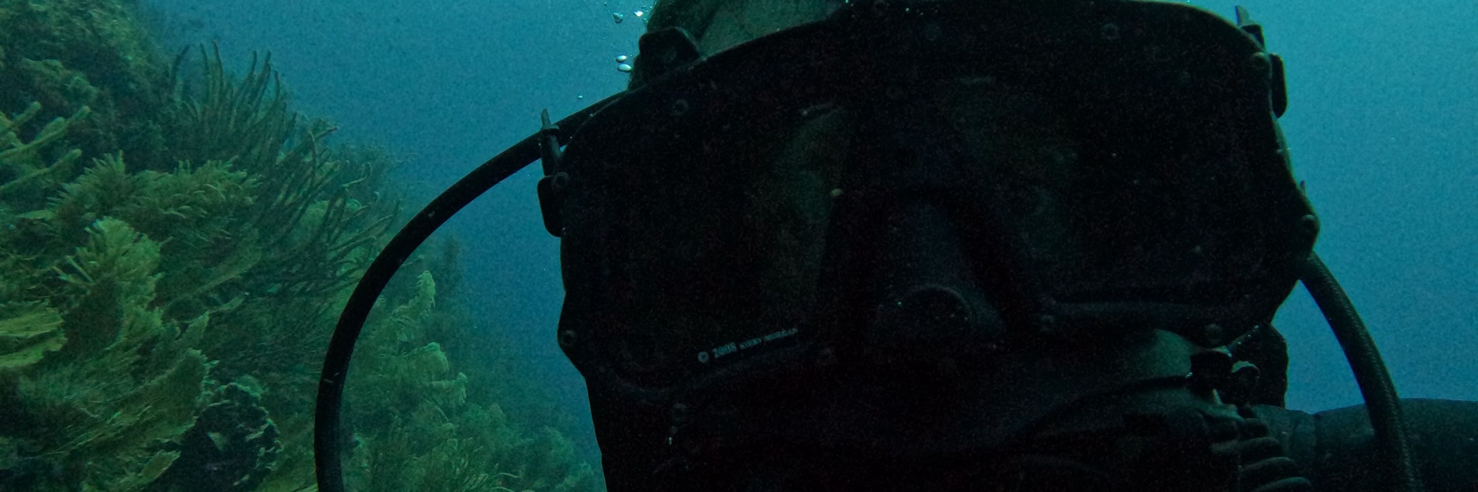 Fabien Cousteau