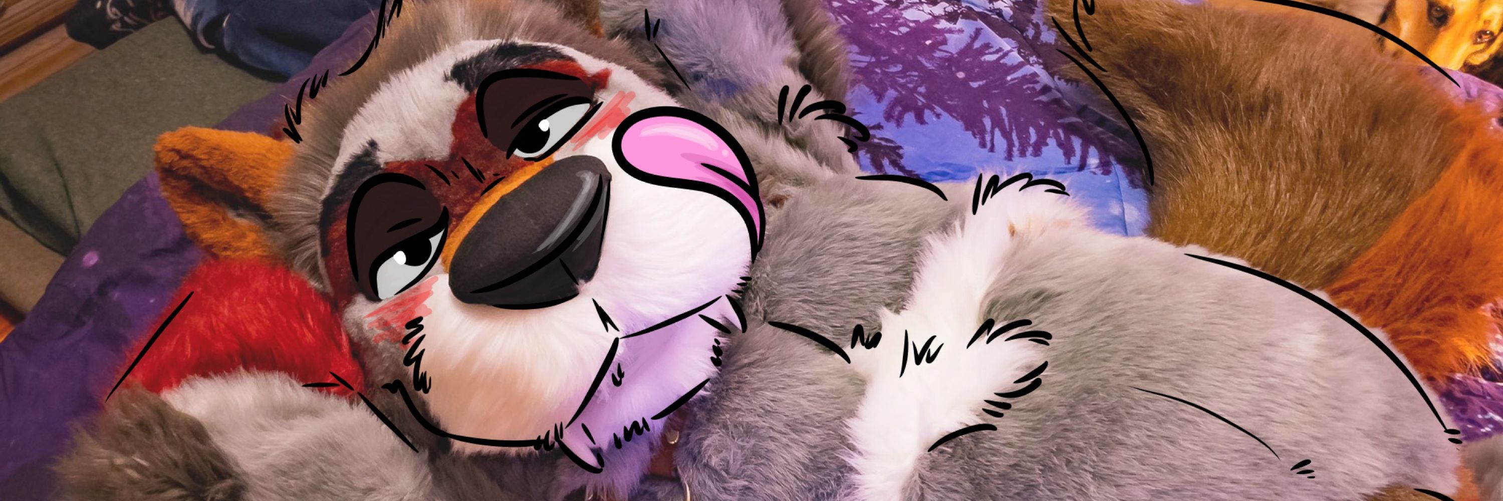Coach Saber