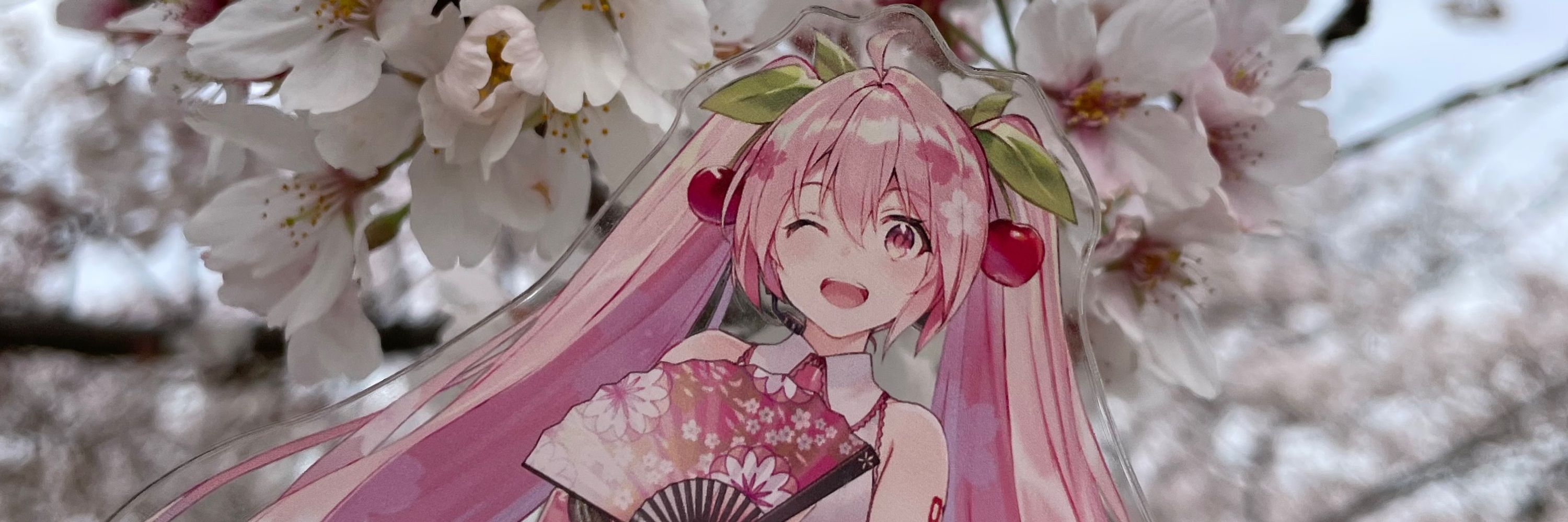 もちもち