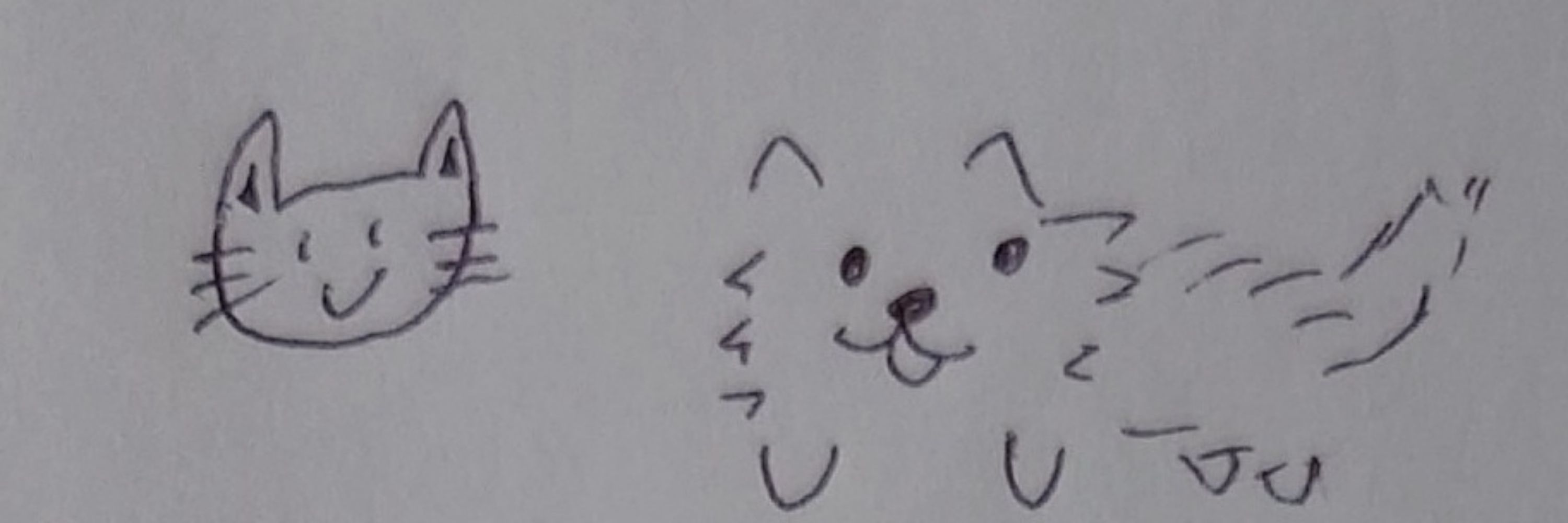 酒🐾