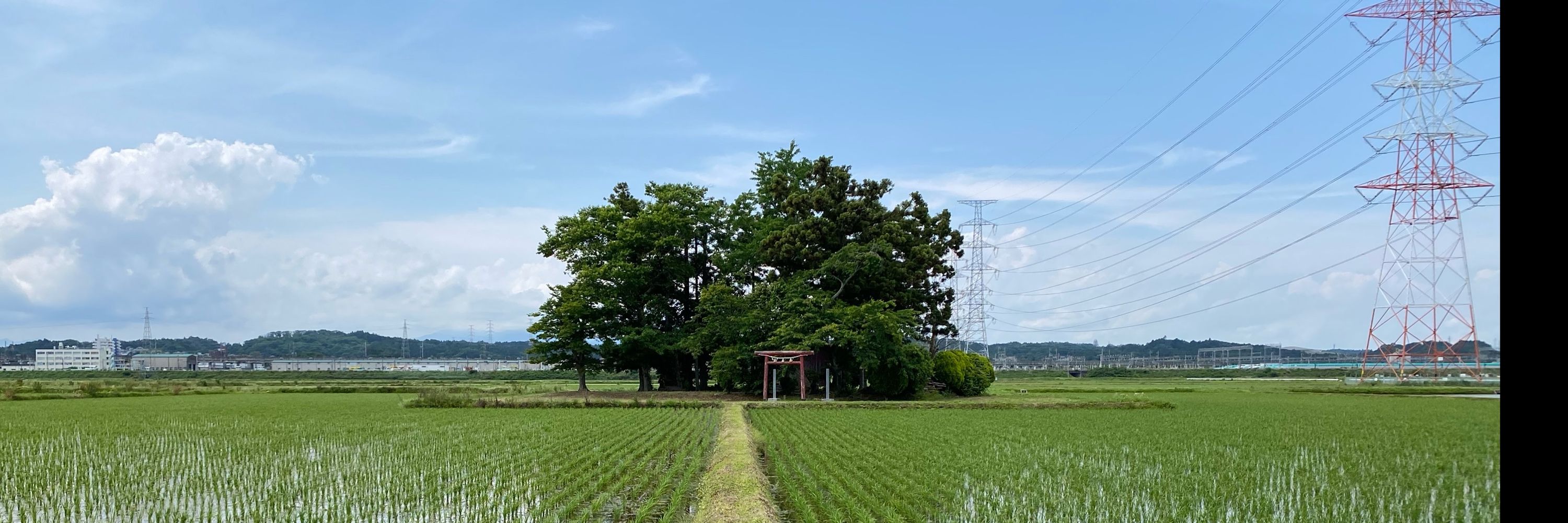 鳥居